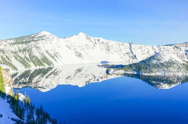 Large snow cliff and pine trees lush in Crater Lake with snowcap mountain and Wizard island reflection — Stock Photo, Image
