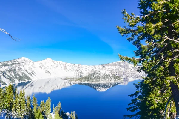 Green pine tree lush and reflection of snowcap mountain with Wizard Island on Crater Lake — Stock Photo, Image