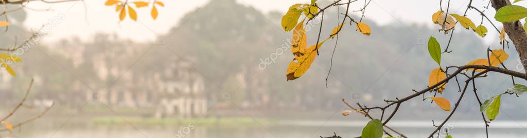 Panoramic yellow leaves of freshwater mangrove and Tortoise Tower at Hoan Kiem Lake, Hanoi