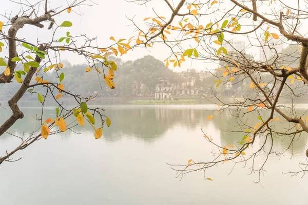 Heldere gele bladeren van zoetwatermangrove en schildpad toren bij Hoan Kiem Lake, Hanoi — Stockfoto