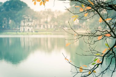 Hoan Kiem Gölü, Hanoi 'deki Tatlı Su Mangrov ve Kaplumbağa Kulesi' nin filtrelenmiş sarı yaprakları.
