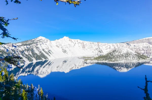 Groene dennenboom weelderig en reflectie van snowcap berg met Wizard Island op Crater Lake — Stockfoto