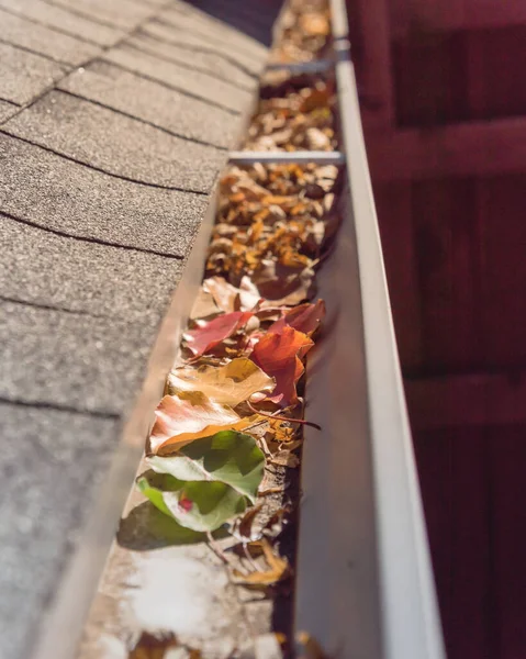 Colorful green, yellow, orange, red autumn leaves clogged gutter of suburban house near Dallas — Stock Photo, Image