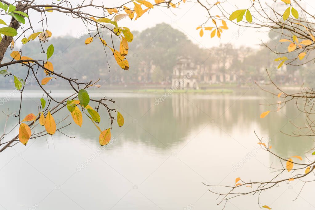 Bright yellow leaves of freshwater mangrove and Tortoise Tower at Hoan Kiem Lake, Hanoi
