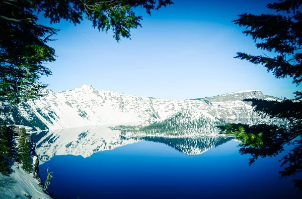 Viewpoint cliff at Crater Lake with pine tree lush and reflection of snowcap mountain and Wizard Island — Stock Photo, Image
