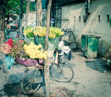 Bisikletli çiçekçi dükkanları taze gül, kasımpatı ve nilüfer butikleriyle