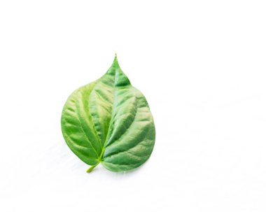 Stüdyo shot üst görünüm bir Vietnam betel Yaprak Paan veya bilimsel adı Piper betle beyaz arka planda izole olduğunu. Piperaceae ailesine ait bir asma, çoğunlukla Asya 'da çiğneme tüketilen