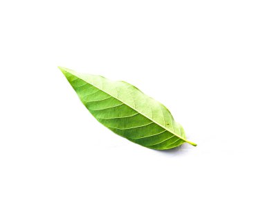 Stüdyo tek muhallebi elma veya şeker-elma, sweetsop yaprağı beyaz arka plan izole vurdu. Bu Annona squamosa, tropikal Amerika ve Batı Hint Adaları yerlimeyve