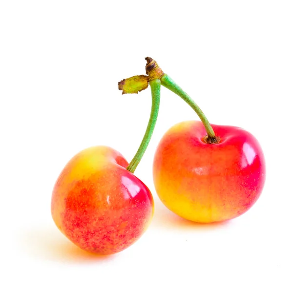 Two Rainer Cherries Joined Stem Isolated White Background Fresh Picked — Stock Photo, Image