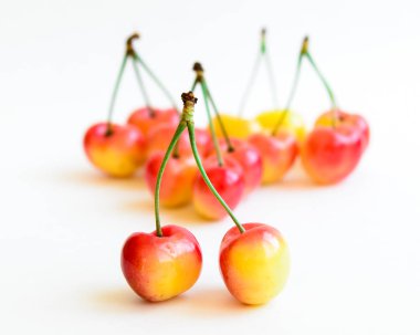 Seçici odak iki Rainer vişne gövdesi ve bulanık kiraz yığını ile birleştirilmiş beyaz arka planda izole. Yakima Valley, Washington State, Usa 'da yetişen taze koparılmış organik kirazlar.