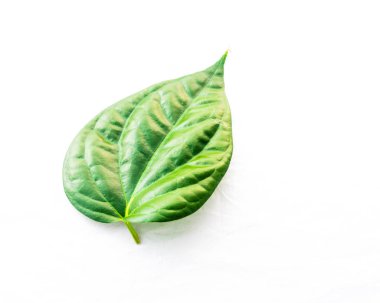 Stüdyo shot üst görünüm bir Vietnam betel Yaprak Paan veya bilimsel adı Piper betle beyaz arka planda izole olduğunu. Piperaceae ailesine ait bir asma, çoğunlukla Asya 'da çiğneme tüketilen