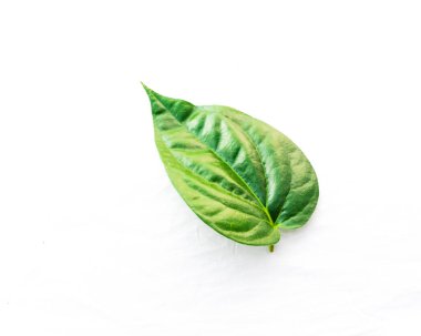 Stüdyo shot üst görünüm bir Vietnam betel Yaprak Paan veya bilimsel adı Piper betle beyaz arka planda izole olduğunu. Piperaceae ailesine ait bir asma, çoğunlukla Asya 'da çiğneme tüketilen