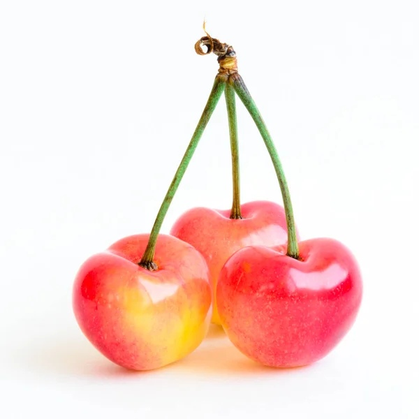 Three Rainer Cherries Joined Stem Isolated White Background Fresh Picked — Stock Photo, Image