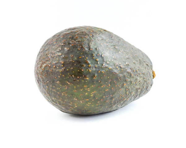 Close-up one whole avocado isolated on white background. Ripe organic Persea Americana, healthy fat fruit