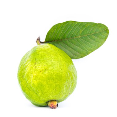 Beyaz arka planda yaprak izole edilmiş tek bir guava meyvesi. Yakın plan taze koparılmış organik yeşil deri Psidyum guajava ekini Vietnam 'dan.