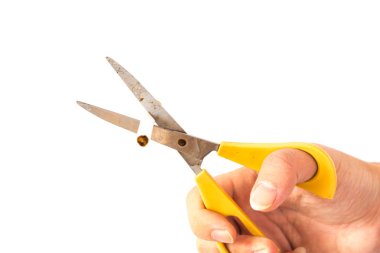 Seçici odaklanma, erkek eli kesilen sigarayı beyaza izole edilmiş bir makasla yaklaş. Sigara karşıtı jestler, sigara bağımlılığı konsepti. Sigara içmeyi bırak. Sigara tehlikeli bir şeydir.