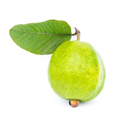 Beyaz arka planda yaprak izole edilmiş tek bir guava meyvesi. Yakın plan taze koparılmış organik yeşil deri Psidyum guajava ekini Vietnam 'dan.