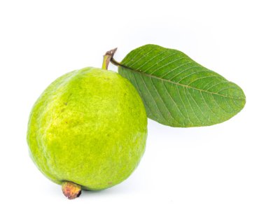 Beyaz arka planda yaprak izole edilmiş tek bir guava meyvesi. Yakın plan taze koparılmış organik yeşil deri Psidyum guajava ekini Vietnam 'dan.
