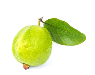 Beyaz arka planda yaprak izole edilmiş tek bir guava meyvesi. Yakın plan taze koparılmış organik yeşil deri Psidyum guajava ekini Vietnam 'dan.