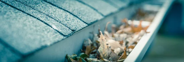 Panorama manzaralı, kurumuş yapraklarla dolu çatı kiremitleri ve temizlik ihtiyacı olan pis çatı oluğu. Çatıdaki drenaj borusu tıkanmış. Oluk temizleme, bakım konsepti.