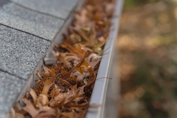 Kurumuş Yapraklarla Dolu Çatı Kiremitleri Kirli Temizleme Ihtiyacı Yüzünden Tıkanmış — Stok fotoğraf
