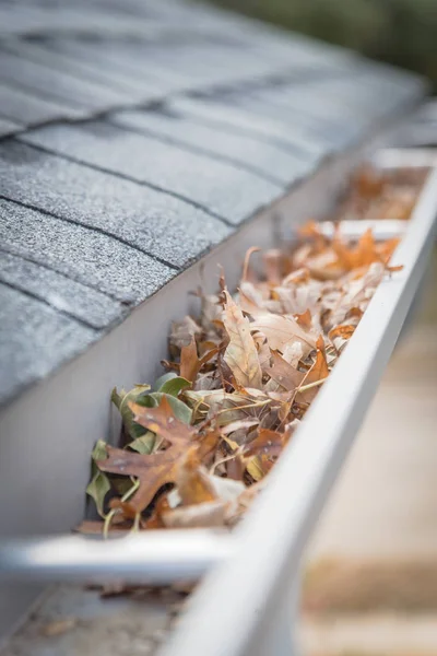 Selective Focus Clogged Gutter Roof Shingles Residential House Full Dried — Stock Photo, Image