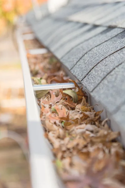 Selective Focus Clogged Gutter Roof Shingles Residential House Full Dried — Stock Photo, Image