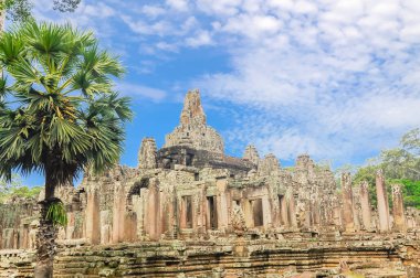 Angkor Wat tapınağı ve palmiye ağacı. Kamboçya 'da bir tapınak kompleksi ve dünyanın en büyük dini anıtıdır..
