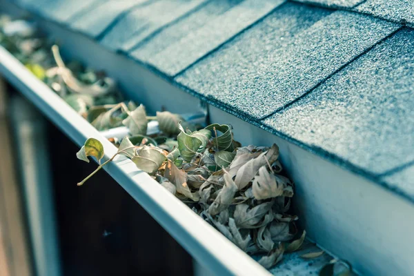 Verstopfte Dachrinne Der Nähe Von Dachschindeln Eines Wohnhauses Voller Getrocknetem — Stockfoto