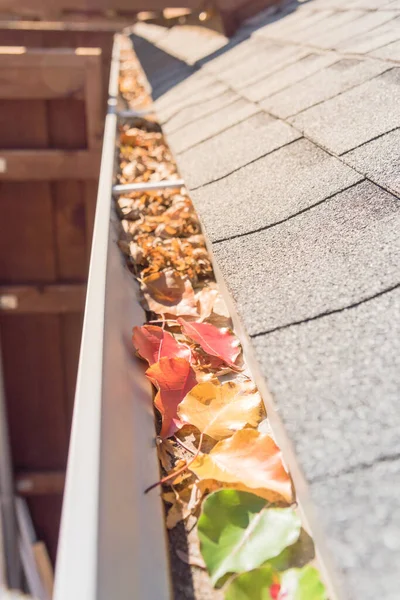 Sammlung Von Bunten Herbst Laub Von Grünen Gelben Orangen Roten — Stockfoto