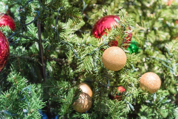 Shiny Christmas red ball hanging on pine branches at daytime light. Baubles and branch of spruce tree. Close-up traditional artificial Xmas tree ball ornament display at public park near Dallas, Texas