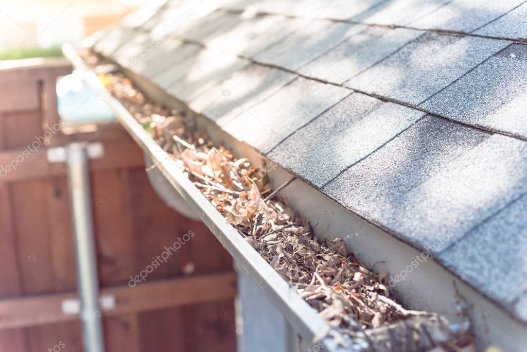 Gutter near roof shingles of residential house full of dried leaves and dirty need to clean-up. Gutter cleaning and home maintenance concept