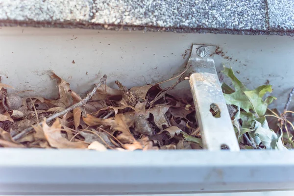 Top View Close Gutter Residential House Full Dried Leaves Dirty — Stock Photo, Image