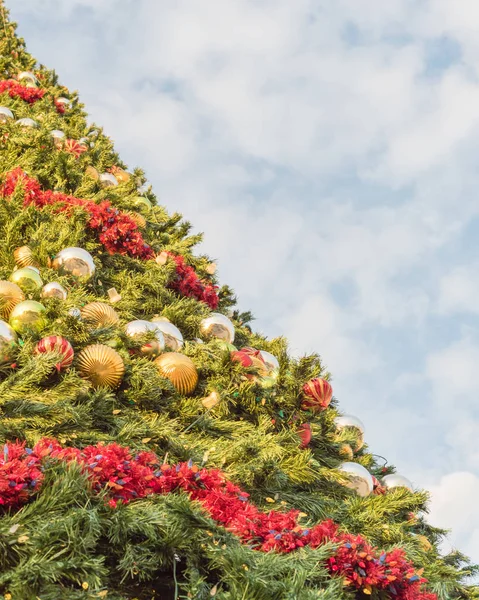 Vista lateral de cerca del árbol de Navidad de sesenta pies con adornos y luces de colores — Foto de Stock