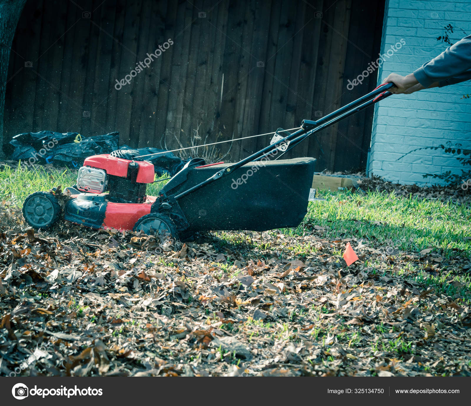 Lawn mower mulching autumn leaves near utility flag lawn care in Texas