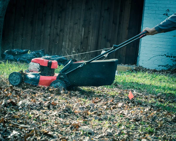 Grasmaaier mulchen herfst bladeren in de buurt van nut vlag gazon zorg in Texas, Usa — Stockfoto