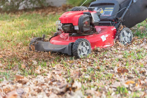 Top vista lavoro tosaerba con sacchetto di cattura nero pacciamatura autunno foglie cura del prato in Texas — Foto Stock