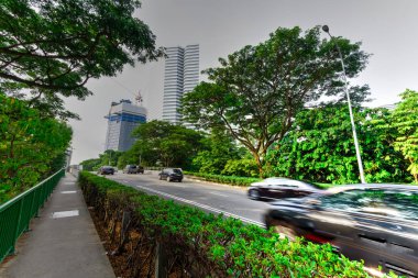 Singapur harika bir yürüyüş şehridir ve çok sayıda yeşil ağacı vardır.