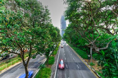 Singapur 'daki yeşil otobanın arka planında kaldırımlar ve gökdelenler var.