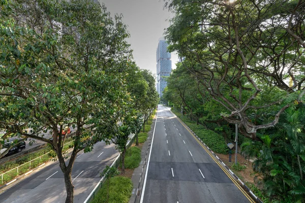 Top view green highway in Singapore with sidewalk and skyscrapers in background — ストック写真