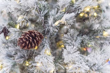 Çam kozalakları ve renkli ışıklar Usa 'daki nalbur dükkanında beyaz yapay Noel ağacına dayandı.