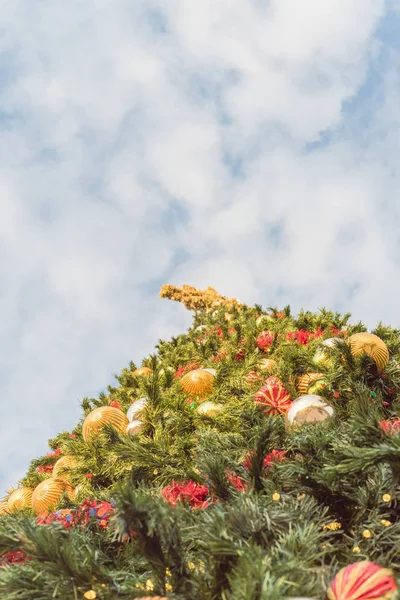 Vista lateral de perspectiva baja de cerca del árbol de Navidad de sesenta pies con adornos y luces coloridas — Foto de Stock