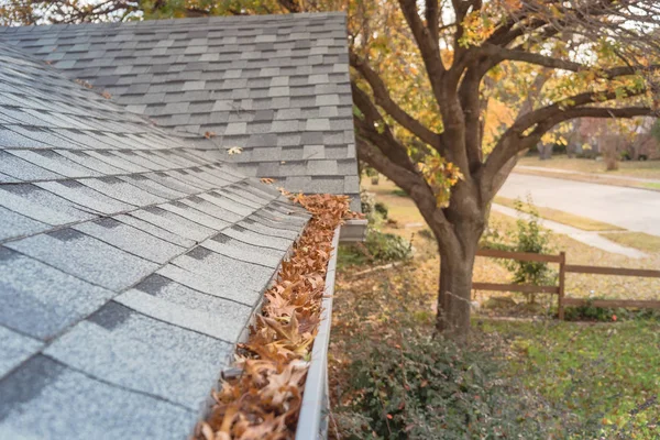 Clogged gutter at front yard near roof shingles of residential house full of dried leaves — Stock Photo, Image