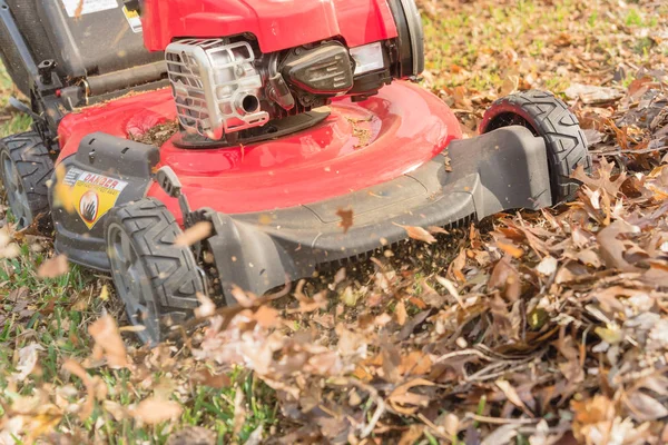 Werken grasmaaier mulchen herfstbladeren voor gazononderhoud in Texas, Usa — Stockfoto