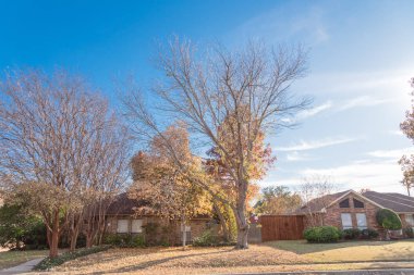 Dallas 'ın banliyölerindeki tek katlı bungalov evleri. Parlak sonbahar yeşillikleri var.