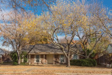 Dallas 'ın banliyölerindeki tek katlı bungalov evleri. Parlak sonbahar yeşillikleri var.