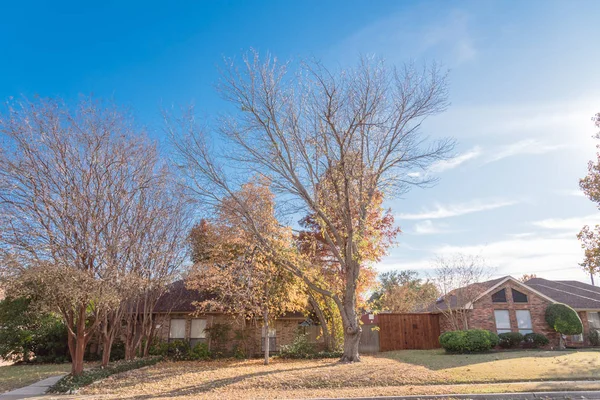 Dallas 'ın banliyölerindeki tek katlı bungalov evleri. Parlak sonbahar yeşillikleri var.