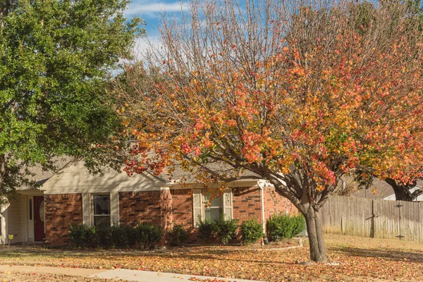 Casas de bungalow de una sola planta en los suburbios de Dallas con colores de follaje de otoño brillantes —  Fotos de Stock