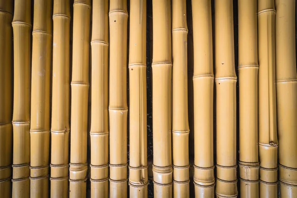 Yellow dried bamboo sticks pattern background full frame view