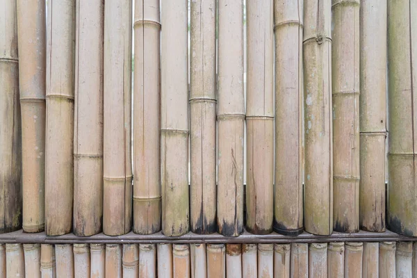 Traditional bamboo wall made from organic bamboo sticks in Singapore — 스톡 사진